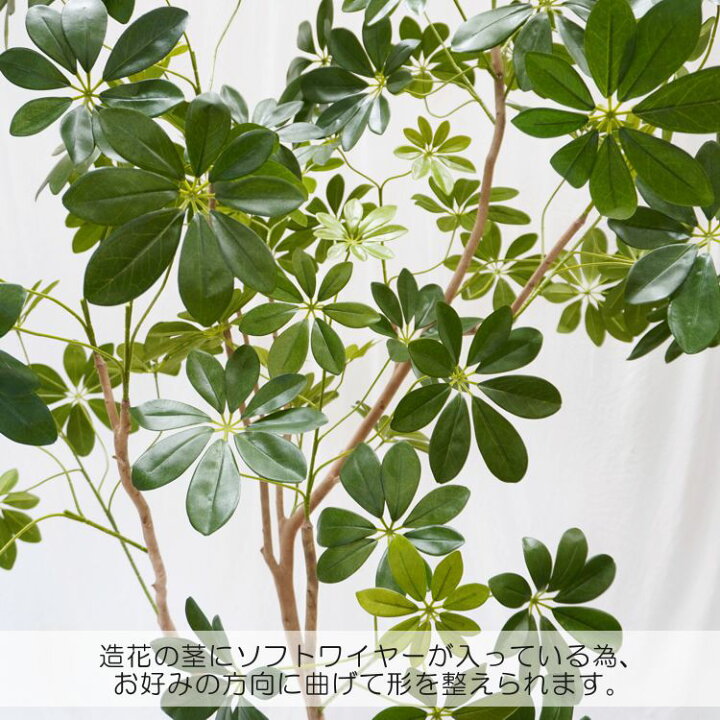 楽天市場 自然樹形 シェフレラ 180cm 造花 インテリア 大型 おしゃれ 室内 人工 観葉植物 フェイク グリーン 作り物 装飾 ディスプレイ 店舗 1 8m 造花観葉植物専門店ビワールデコ