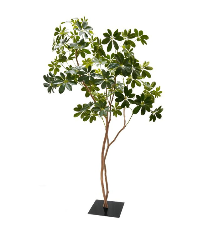 自然なシェフレラ 180cm 造花 インテリア 大型 おしゃれ 室内 人工 観葉植物 フェイク グリーン 作り物 装飾 ディスプレイ 店舗 1 8m 人気新品入荷