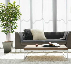 i`xW~ Lo[W 200cm ( ϗtA CeA @  tFCN O[ ^  fBXvC 蕨 2m A lH Ǝ [J[ ItBX 