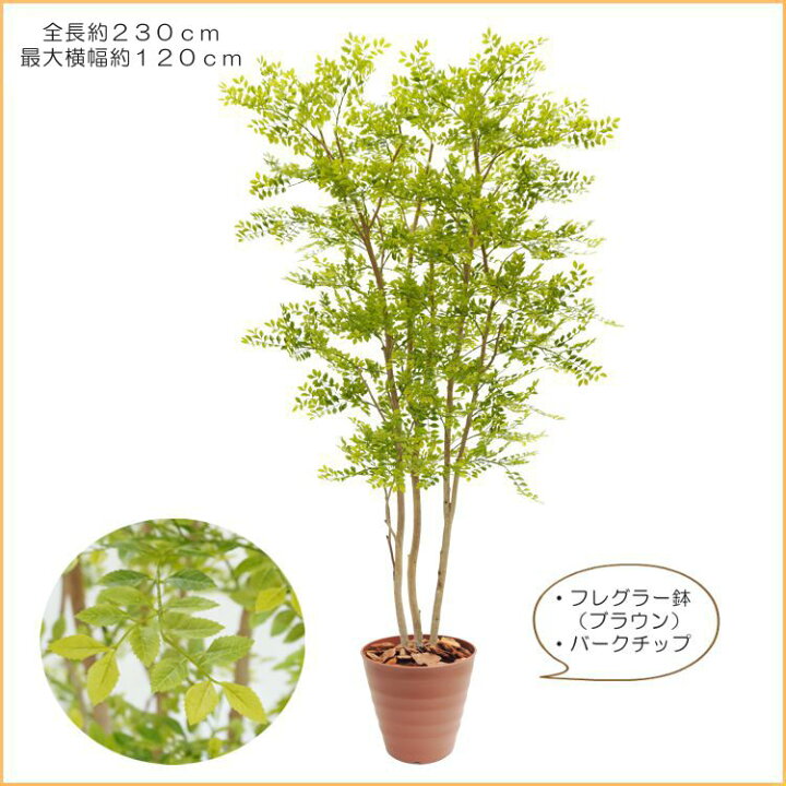 楽天市場 ヒマラヤソケイ 230cm 造花 インテリア イエロー バタフライ おしゃれ 室内 人工 観葉植物 大型 フェイク グリーン 作り物 装飾 トネリコ 造花観葉植物専門店ビワールデコ