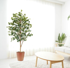 ┏FΐF̗tς [J 180cm (tFCN O[ ^  CeA   lH ϗtA   蕨 A 1.8m V{c[  A Ǝ [J[ 