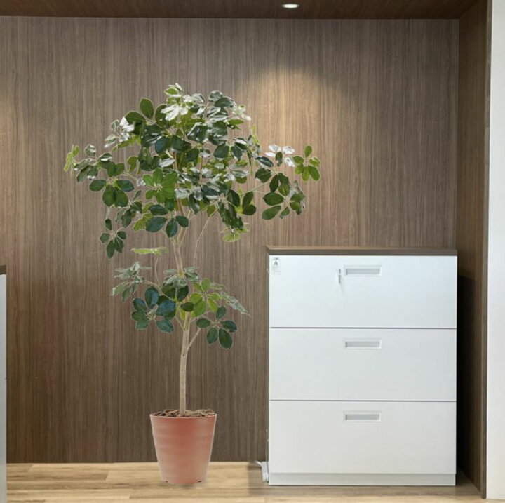 楽天市場】ツピタンサス 180cm (造花 インテリア 大型 おしゃれ 室内 