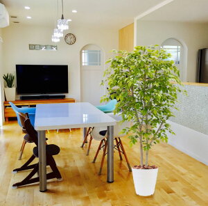 R̃tBJX̖ 180cm ( xW~ S[hbV i^[V CgO[ ϗtA CeA  ^  fBXvC  蕨 tFCNO[  