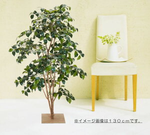 coL 160cm R (tFCNO[  lHϗtA  a K[fjO  뉀 ؒ CeA   JA A ItBX V{c[  A Ǝ [J[ 