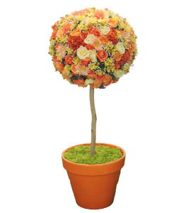 t[gsA[120cmIW( lH ϗtA IuWF CeA ~`   Ԃ̒u  fBXvC V{c[  A Ǝ [J[ xXgO[ IW