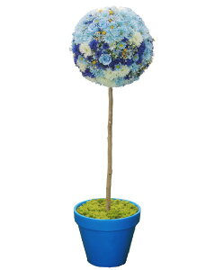 t[ gsA[ 150cm Cgu[ ( lH ϗtA IuWF CeA ~`   Ԃ̒u  fBXvC V{c[  A Ǝ [J[ xXgO[ 