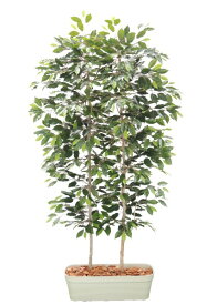 楽天市場 人工観葉植物 目隠しの通販