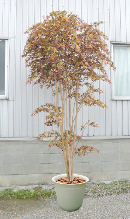 楽天市場】大型サイズ 紅葉立ち木 高さ300cm (フェイク グリーン 特大 