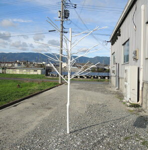 ؁@210cm(zCg  lHϗtA    C[X^[ CeA }  IuWF EFJ c[ NX}X tFCN O[ ^ ItBX V{c[ 