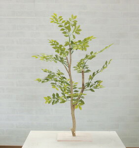 V}glRc[ 邢t 60cm ( CeA   lH ϗtA S[f[t ~jTCY  tFCNO[ Ȃ  A Ǝ [J[ xXgO[