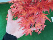 モミジレッド150cm(造花観葉植物紅葉緑和風ガーデニング造園庭園坪庭エクステリア)