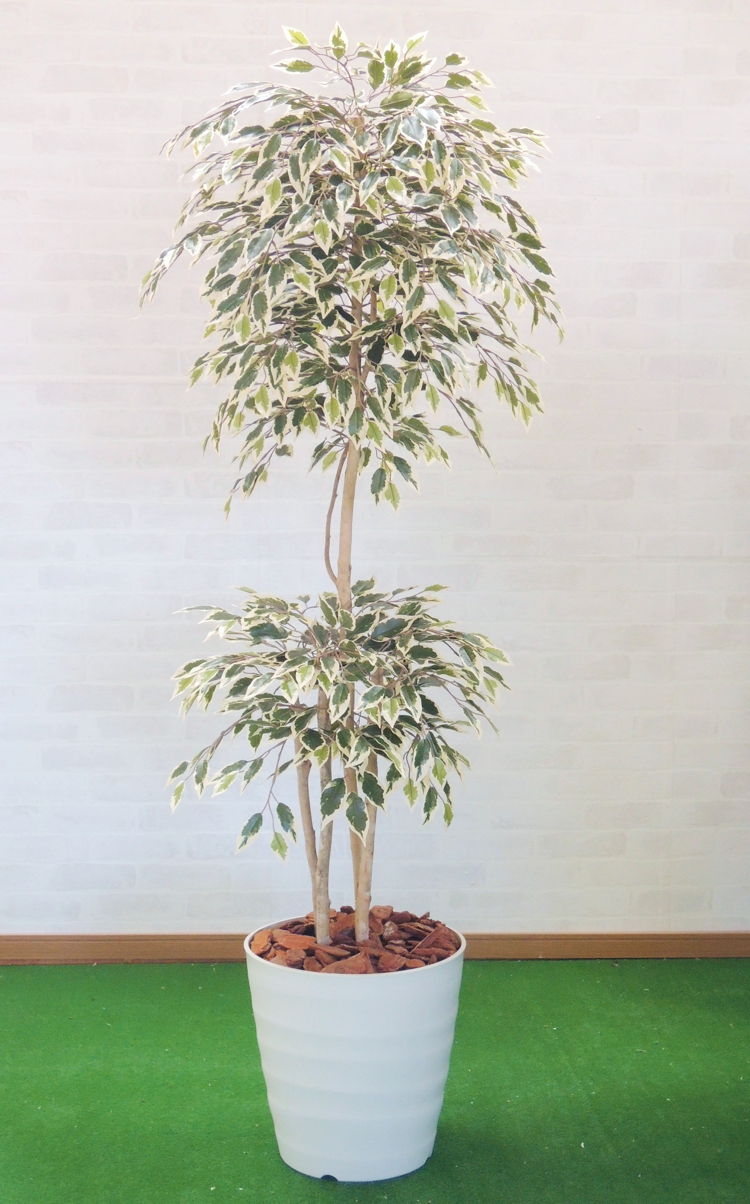 グリーン 人工樹木 今だけ限定15%OFFクーポン発行中 人工観葉植物 造花 1.8m インテリア おしゃれ 180cm 斑入りベンジャミントロピカル 室内 装飾 大型 人気デザイナー ベンジャミン