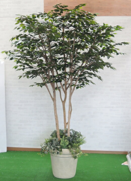 楽天市場 大型商品 ベンジャミン 組み立て式 250cm 造花 インテリア 人工観葉植物 フェイクグリーン おしゃれ 室内 樹木 店舗 装飾 造花観葉植物専門店ビワールデコ