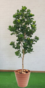 NVA [A vZX 180cm ( CeA   lH ϗtA ^   蕨 tFCN vc 1.8m ItBXO[ V{c[  A Ǝ [J[ x