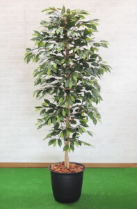 xW~oC 180cm (lHϗtA  lH tFCNO[ 1.8m CeA  ^ Ǝ [J[ X ItBX A )