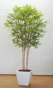 V}glR 邢t ^  230cm (tFCNO[  ACeA    C~e[V  S[f[t ItBX V{c[  A Ǝ [J