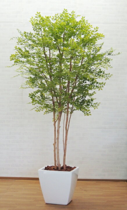 楽天市場 大型サイズの人工観葉植物 明るい葉のトネリコ 高さ230cm インテリア 造花 樹木 造木 フェイクグリーン 室内向け ゴールデンリーフ 造花観葉植物専門店ビワールデコ