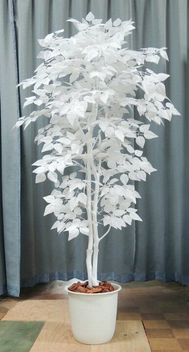 楽天市場 ホワイトバーチ 180cm 白い木 人工 観葉植物 造花 コンパネ 白樺 造木 おしゃれ 室内 大型 白樺 装飾 樹木 フェイクグリーン オブジェ 造花観葉植物専門店ビワールデコ 楽天市場 ホワイトバーチ 180cm 白い木 人工 観葉植物 造花 コンパネ 白樺 造木 おしゃれ 室内 大型 白樺 装飾 樹木 フェイクグリーン オブジェ 造花観葉植物専門店ビワールデコ