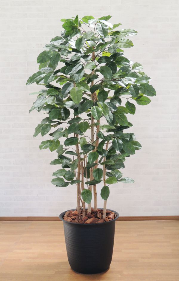 インテリア 店舗内装 フェイクグリーン 造花 ボダイジュ 菩提樹 180cm 人工 観葉植物 大型 植栽