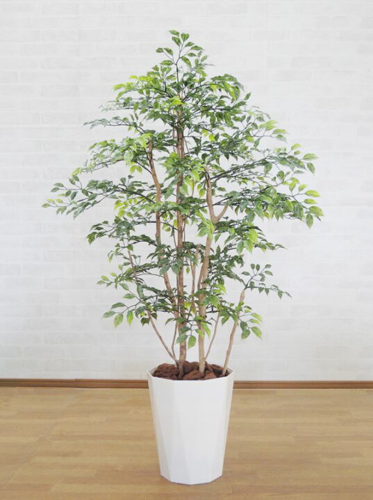 楽天市場 小さい葉っぱの木 1cm 鉢植え 造花 ミニフィカス ベンジャミン インテリア おしゃれ 室内 人工 観葉植物 装飾 ディスプレイ 作り物 フェイク グリーン プランツ 屋外使用可能 造花観葉植物専門店ビワールデコ