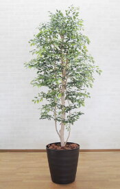 小さい葉っぱの木 150cm (鉢植え 造花 ミニフィカス ベンジャミン インテリア おしゃれ 室内 人工 観葉植物 装飾 ディスプレイ 作り物 フェイク グリーン プランツ 屋外使用可能 作り物 オフィス シンボルツリー 自作 植栽 業者 メーカー ベストグリーン オリジナル 製造元)