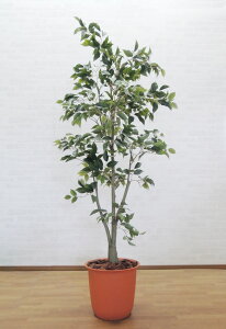 tBJXc[ 180cm (tFCNO[ A lHϗtA  1.8m CeA   ^  xW~ ItBX V{c[  A Ǝ [J[ xXgO[ 