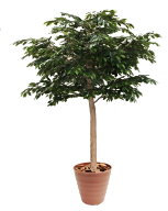 大型サイズ ベンジャミン 立ち木 高さ260cm 組み立て式 (フェイク グリーン 特大 人工観葉植物 造花 樹木…