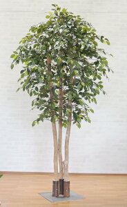 ^TCY xW~ ؁@230cm (tFCN O[  lHϗtA    CeA    A Ǝ [J[ xXgO[ IWi ̔)