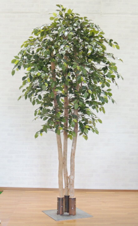 楽天市場 大型サイズのベンジャミン立ち木 高さ230cm フェイク グリーン 人工観葉植物 造花 樹木 造木 インテリア おしゃれ 室内 造花観葉植物専門店ビワールデコ