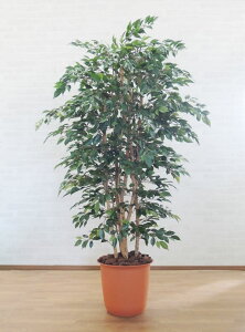 xW~bT 180cm (tFCN O[ ^  ϗtA CeA   fBXvC  蕨 lH  A lH Ǝ [J[ ItBX )