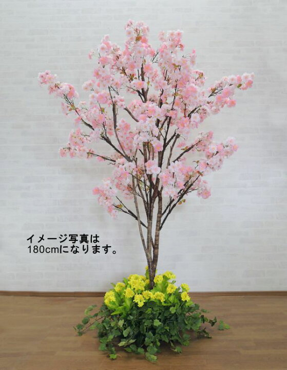 楽天市場 さくらの木 210cm 菜の花装飾付 造花 桜 サクラ 京桜 ピンク 人工観葉植物 インテリア おしゃれ 室内 大型 春 飾り フェイクグリーン 作り物 造木 造花観葉植物専門店ビワールデコ