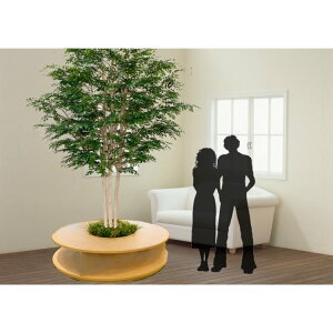 ^TCY 傫ȃV}glR̖ A͕t 300cm (tFCN O[  ^  CeA lH ϗtA A t  fBXvC  IuWF 3m ItBX V{c