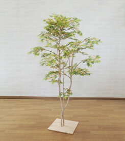 イロハモミジ グリーン 120cm (フェイク グリーン造花 観葉植物 もみじ 紅葉 和風 ガーデニング 造園 庭園 坪庭 インテリア おしゃれ 室内 カエデ 自作 業者 メーカー オフィス 低木)