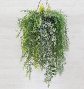 nMO O[ B a50cm ( tFCN ݂艺 ݂邷 CeA   fBXvC V{c[  A Ǝ [J[ xXgO[ IWi  