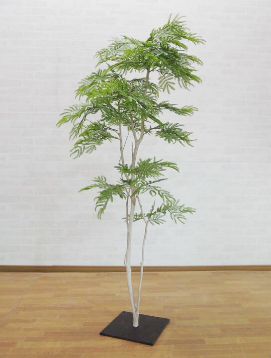 楽天市場】エバーフレッシュ 160cm (造花 観葉植物 インテリア 