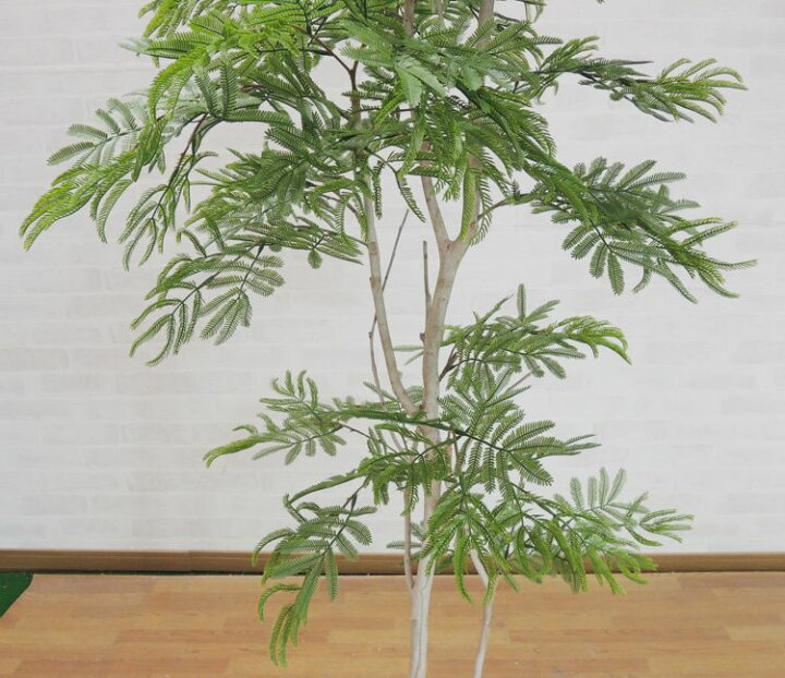楽天市場】エバーフレッシュ 160cm (造花 観葉植物 インテリア 