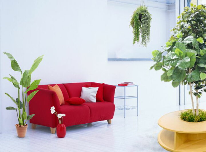 ウンベラータの木 180cm 鉢植え 造花 フィカス インテリア おしゃれ 室内 人工 観葉植物 装飾 ディスプレイ 店舗 作り物 フェイク グリーン プランツ 1 8m 価格 交渉 送料無料