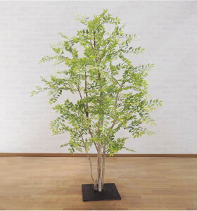 トネリコの木 明るい葉 150cm (造花 インテリア フェイクグリーン おしゃれ 室内 人工 観葉植物 ゴールデンリーフ 装飾 シマトネリコ)