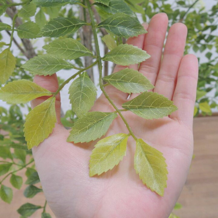 楽天市場 トネリコの木 明るい葉 180cm 造花 インテリア フェイクグリーン おしゃれ 室内 人工 観葉植物 ゴールデンリーフ 装飾 造花観葉植物専門店ビワールデコ 楽天市場 トネリコの木 明るい葉 180cm 造花 インテリア フェイクグリーン おしゃれ 室内 人工 観葉植物 ゴールデンリーフ 装飾 造花観葉植物専門店ビワールデコ