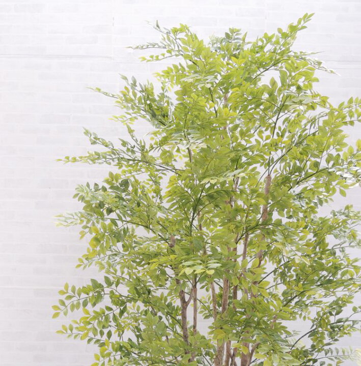 小さい葉っぱの木 150cm 鉢植え 造花 ミニフィカス ベンジャミン インテリア おしゃれ 室内 人工 観葉植物 フェイク グリーン 屋外使用可能 1 5ｍ 最大85 Offクーポン