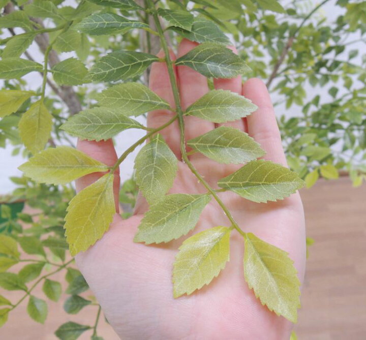 円 本日限定 トネリコ 高さ230cm 大型サイズ 人工観葉植物 明るい葉 インテリア