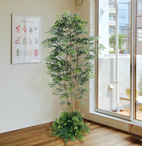 V}glR̖؁@tA@( CeA   lH ϗtA ^ tFCN O[  fBXvC 蕨 1.8m X ItBX V{c[  A Ǝ [J[