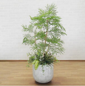 Go[tbV A S120cm ( CeA  ˂ނ̖  tFCN O[  fBXvC  ԉo V{c[  A Ǝ [J[ xXgO[ 