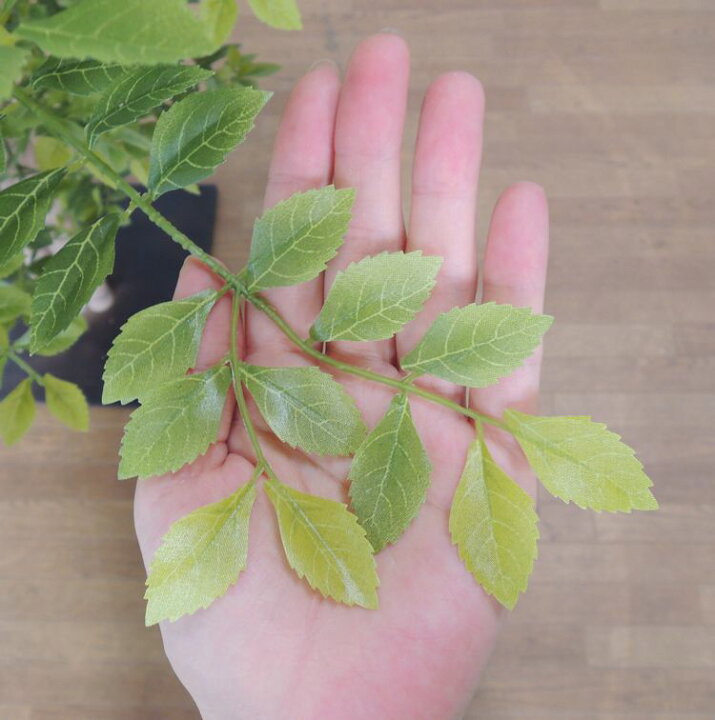 楽天市場 大型サイズ トネリコ立ち木 明るい葉 高さ150cm フェイク ゴールデンリーフ 人工観葉植物 造花 樹木 造木 室内 装飾 フェイク 大型 造花観葉植物専門店ビワールデコ 楽天市場 大型サイズ トネリコ立ち木 明るい葉 高さ150cm フェイク ゴールデンリーフ 人工観葉植物 造花 樹木 造木 室内 装飾 フェイク 大型 造花観葉植物専門店ビワールデコ