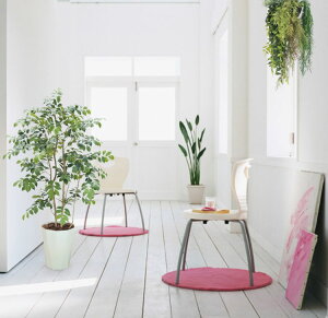 }EeAbV 120cm ( CeA   lH ϗtA iiJ}h  fBXvC X ItBXO[ V{c[  A Ǝ [J[ xXgO[ I