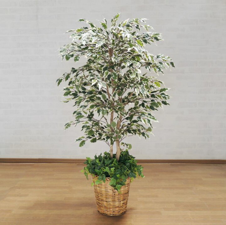 楽天市場】ベンジャミン スターライト 110cm (人工観葉植物 造花 