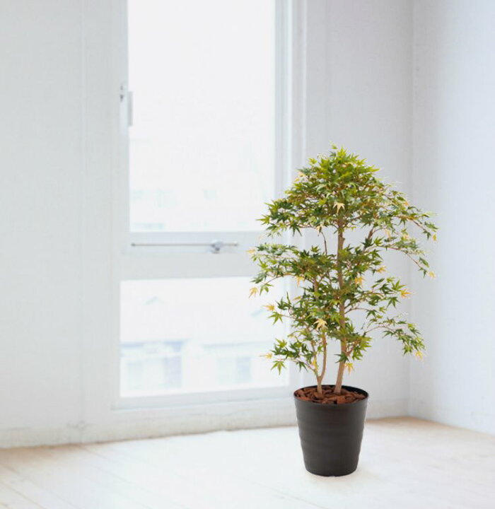 楽天市場 モミジ盆栽風 1cm 造花 観葉植物 緑 和風 ガーデニング 造園 庭園 坪庭 インテリア もみじ カエデ 室内 おしゃれ 装飾 造花観葉植物専門店ビワールデコ