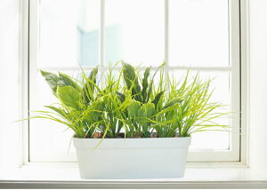 zX^ƃOX̃v^[ 50cm (70cm  CeA lHϗtA M{EV N   ^ tFCNvc V{c[  A Ǝ [J[ xXgO