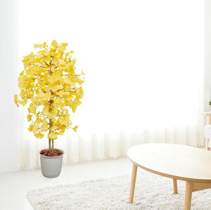 C`Ec[ ( lHϗtA gt F CG[ a  Mi K[fjO  뉀 ؒ CeA ItBX V{c[  A Ǝ [J[ xXgO[ I