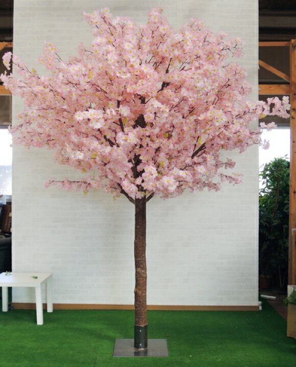 楽天市場 高さ250cm特注桜の木 組み立て式 人工 造花 サクラ インテリア 分割式 人工 観葉植物 フェイクグリーン 装飾 ディスプレイ 飾り おしゃれ 室内 大型 店舗 造花観葉植物専門店ビワールデコ